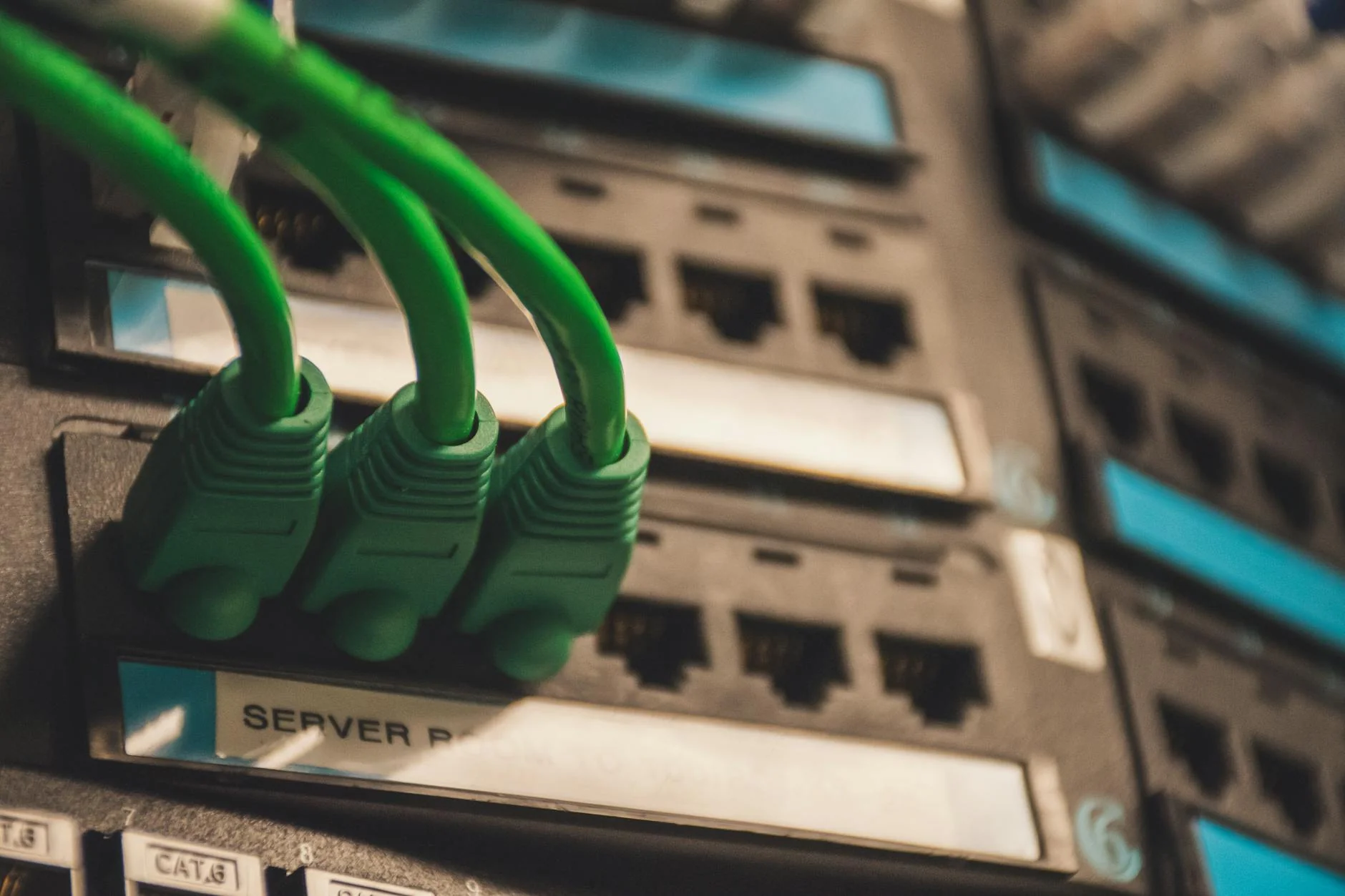 Expert Server Data Recovery illustrative graphic